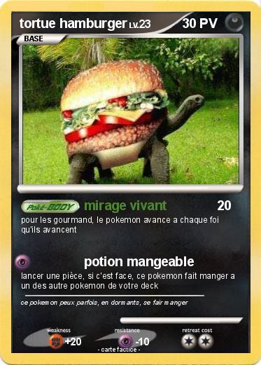 Pokemon tortue hamburger