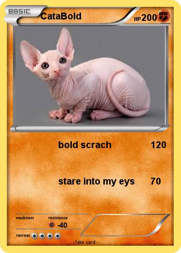 Pokemon CataBold