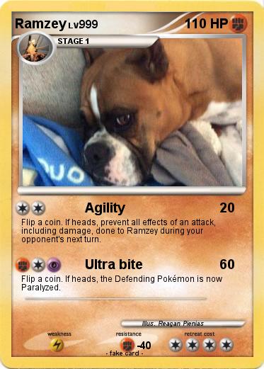 Pokemon Ramzey