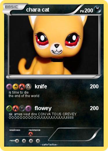 Pokemon chara cat