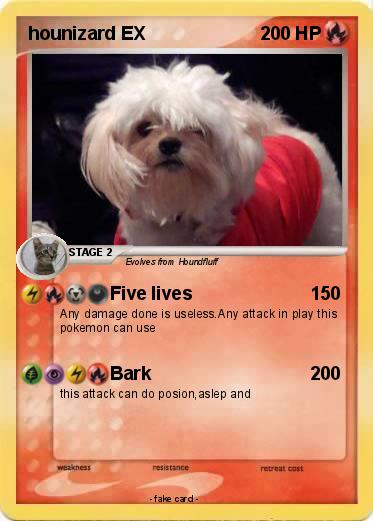 Pokemon hounizard EX