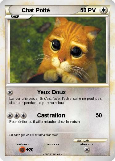 Pokemon Chat Potté