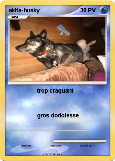 Pokemon akita-husky