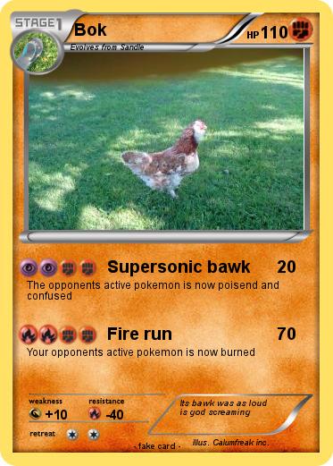 Pokemon Bok