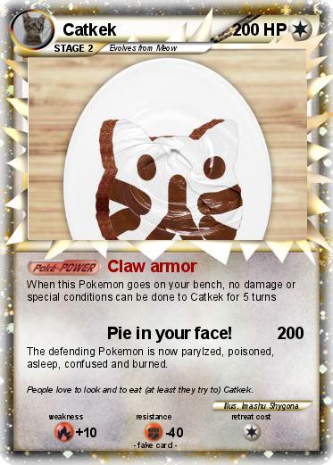 Pokemon Catkek