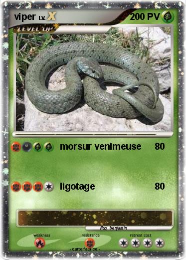 Pokemon viper