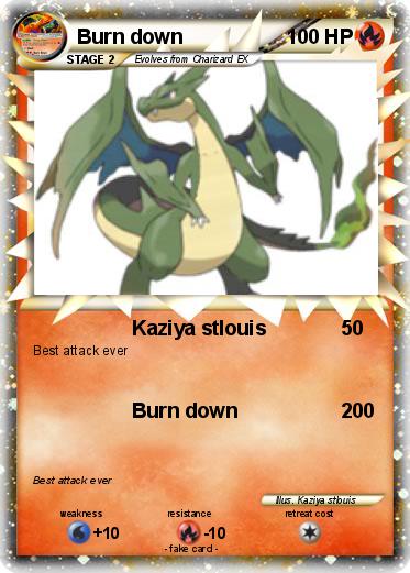 Pokemon Burn down