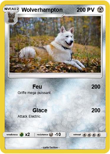 Pokemon Wolverhampton