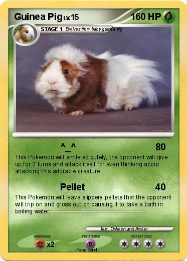Pokemon Guinea Pig