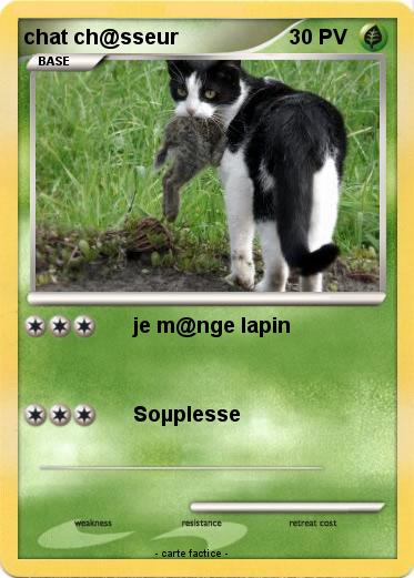 Pokemon chat ch@sseur