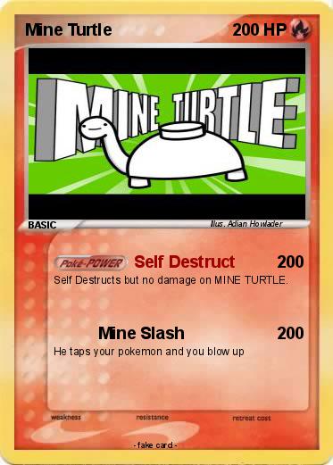 Pokemon Mine Turtle