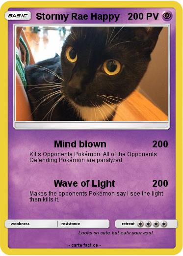 Pokemon Stormy Rae Happy