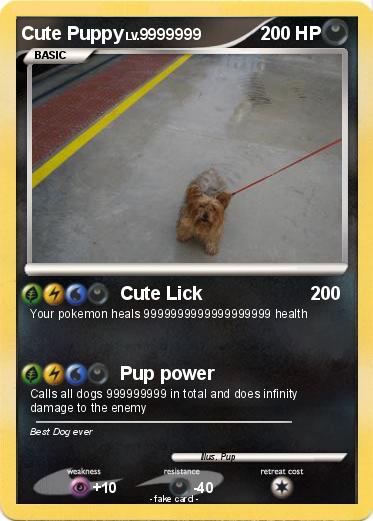 Pokemon Cute Puppy