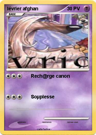 Pokemon lévrier afghan