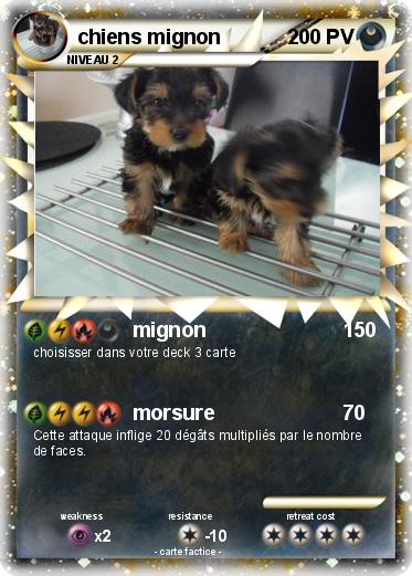 Pokemon chiens mignon