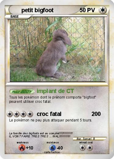 Pokemon petit bigfoot