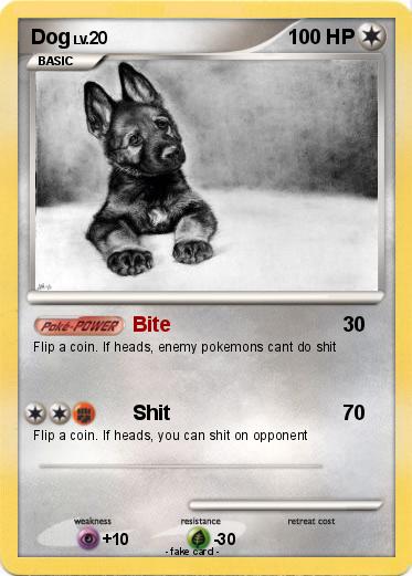 Pokemon Dog