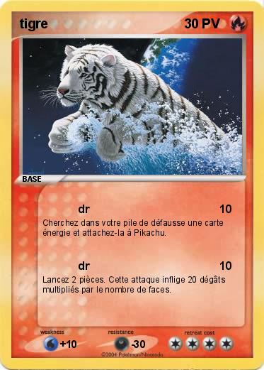 Pokemon tigre 