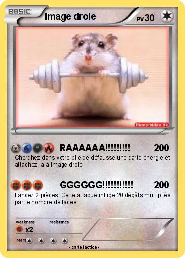Pokemon image drole