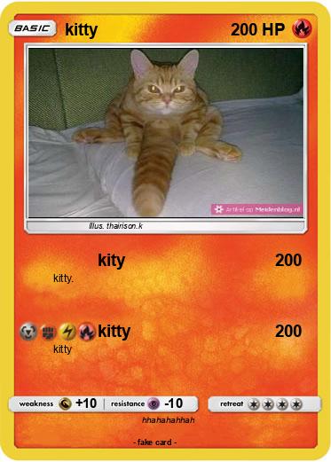 Pokemon kitty