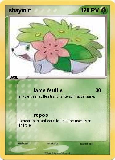 Pokemon shaymin