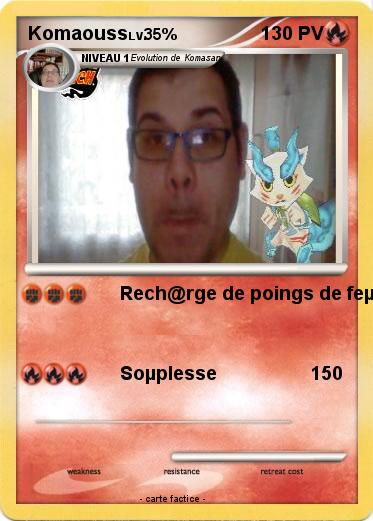 Pokemon Komaouss
