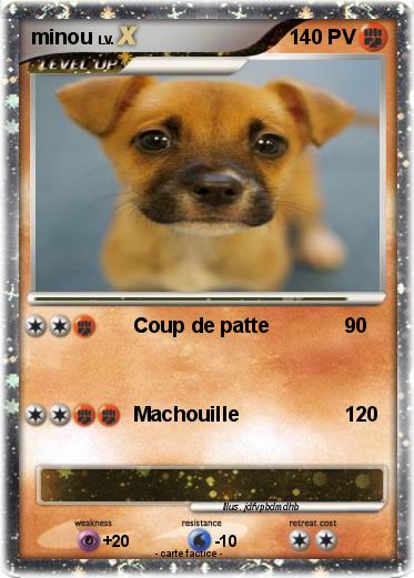Pokemon minou