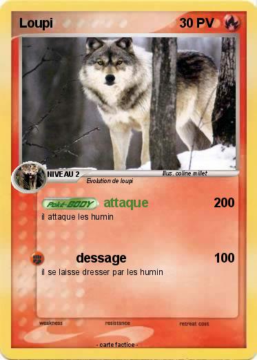 Pokemon Loupi