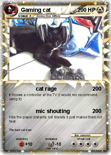 Pokemon Gaming cat
