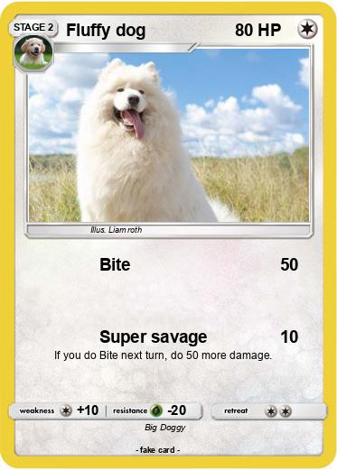 Pokemon Fluffy dog