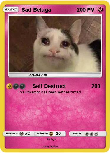 Pokemon Sad Beluga