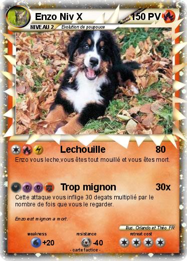 Pokemon Enzo Niv X