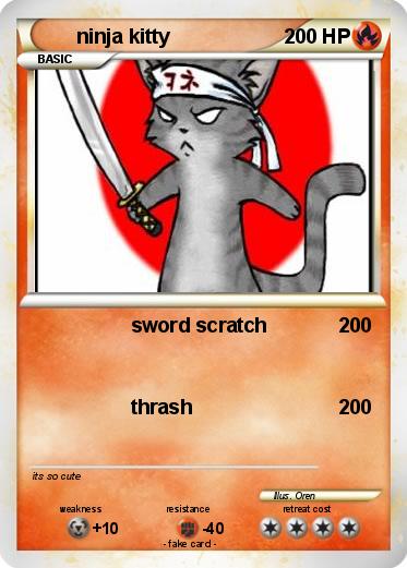Pokemon ninja kitty