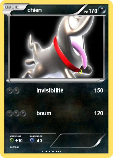 Pokemon chien
