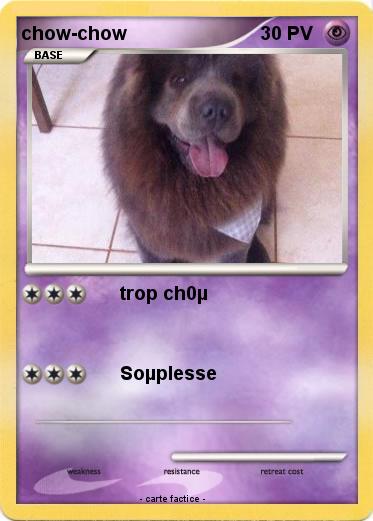Pokemon chow-chow