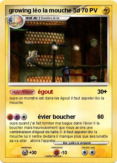 Pokemon growing léo la mouche 3d