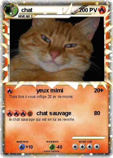 Pokemon chat