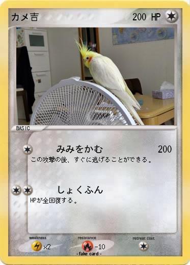 Pokemon カメ吉