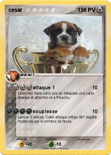 Pokemon cesar