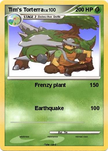 Pokemon Tim's Torterra