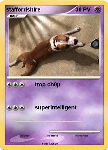 Pokemon staffordshire