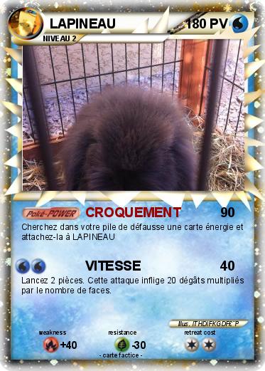 Pokemon LAPINEAU