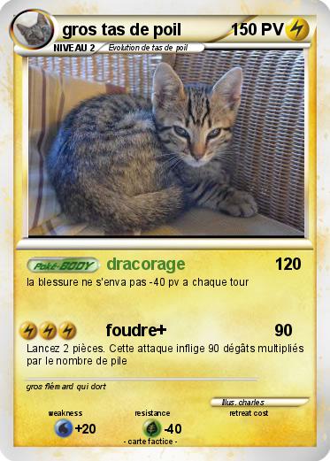 Pokemon gros tas de poil