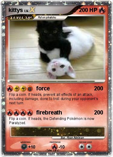 Pokemon kittys