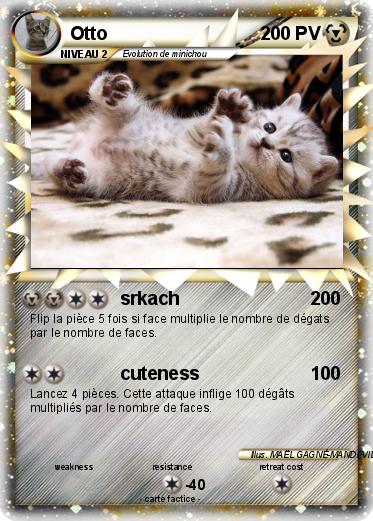 Pokemon Otto