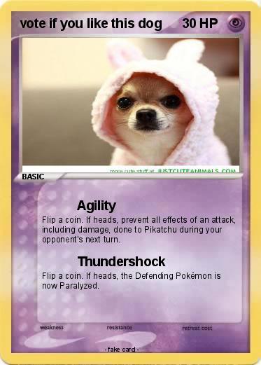 Pokemon vote if you like this dog