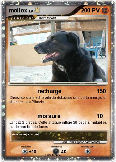 Pokemon mollox