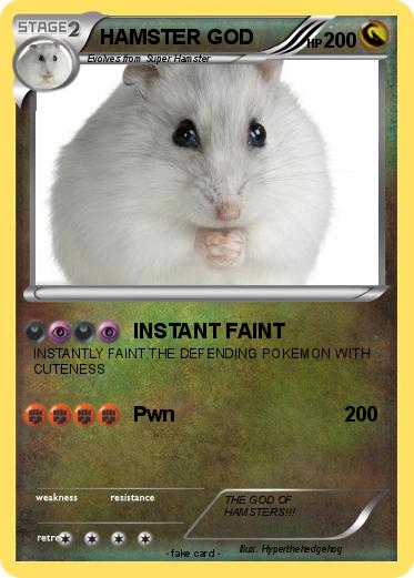 Pokemon HAMSTER GOD