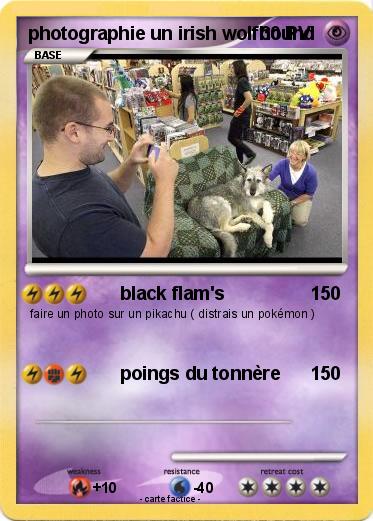 Pokemon photographie un irish wolfhound