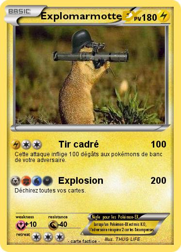 Pokemon Explomarmotte